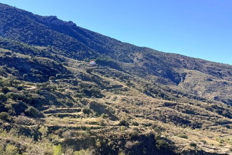 Finca i Tabernas, Almeria, Tabernas - € 2.345.000 | Ref: GVCFSA - foto 37